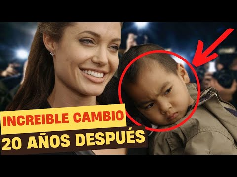 Video: Angelina Jolie exige más niños! ¡Inmediatamente!