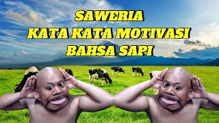 SAWERIA PASCOL FULL PANTUN BAHASA SAPI, KIPAS ANGIN, LEMARI!!?!! FULL NGAKAK #pascol #mlbb #lucu