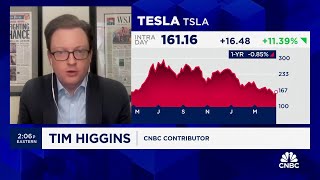 Tesla and Elon Musk fans have an optimistic outlook for company's future, says WSJ's Tim Higgins