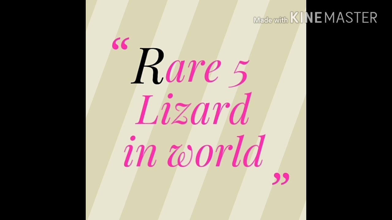 camera iphone 8 plus apk Rare Lizards in world