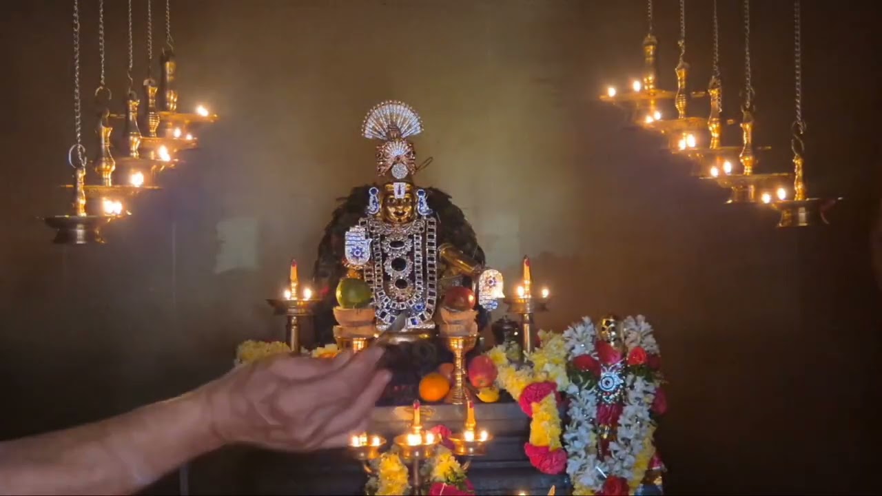 🛕🕉️Yesterday ayyappa Swami Vishesha Abhishekam alankaram Puja harati irumudi dharana padipuja🕉️🛕