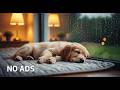 12 Hour Dog Sleep Music 🐶 Calm &amp; Anti Separation Anxiety 🎧 Relaxing Pet Audio – No Ads