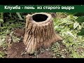 Сделала клумбу из старого ведра и цемента. Пень, который не сгниет, своими руками