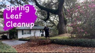 SPRING LEAF CLEANUP - Lawn Care & Leaf Removal (DIY)