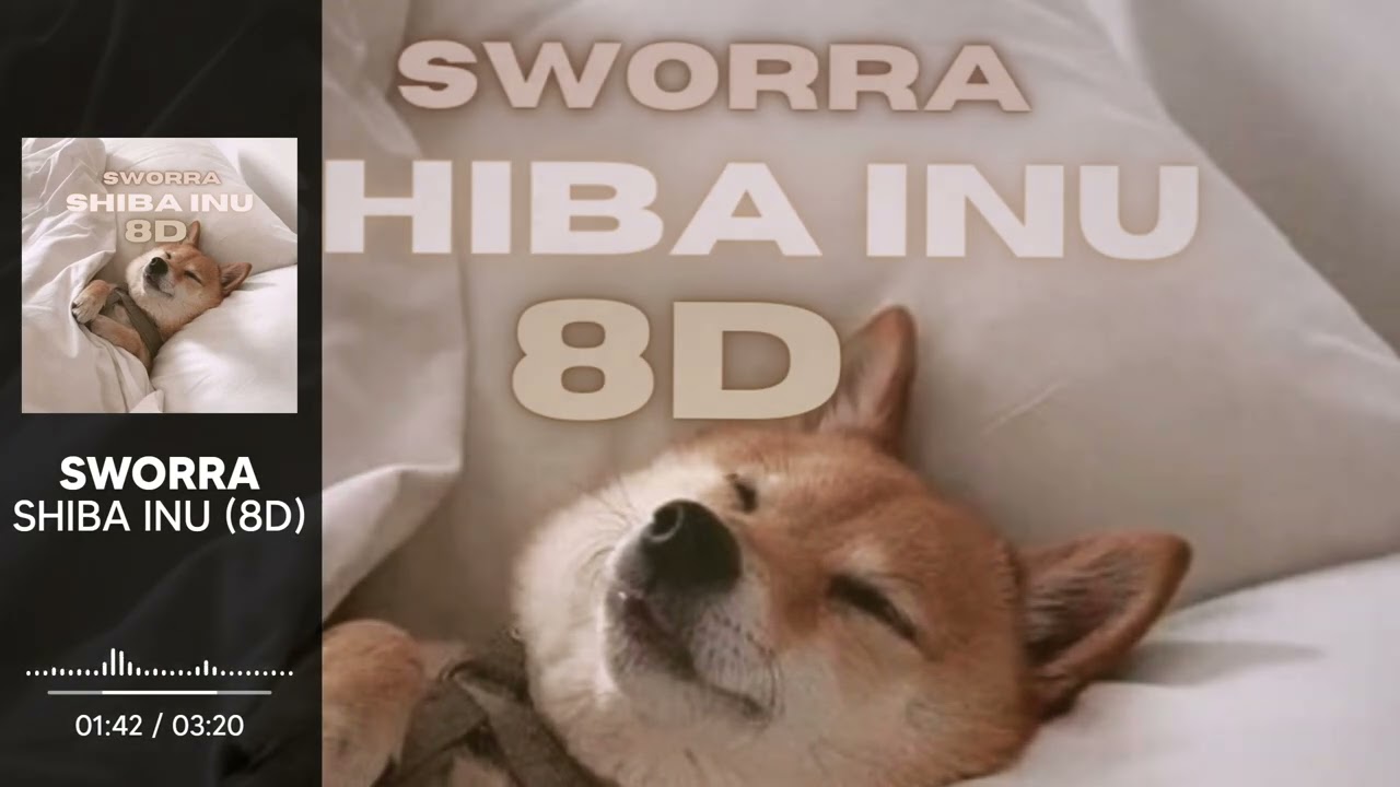 SWORRA - SHIBA INU (8D)