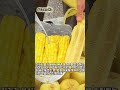 길거리 옥수수 손질의 달인 #worker #process #streetfood #corn #skills