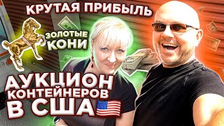 Такого Мы Не Ожидали Найти В КОНТЕЙНЕРЕ Архитектора! Золотые Кони С Бриллиантами! Вот Это ПРИБЫЛЬ!