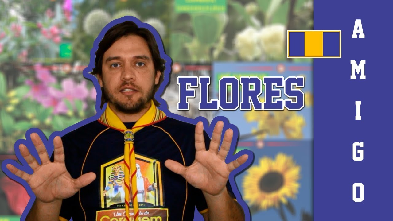10 Flores Silvestres Amigo da Natureza YouTube 10 Flores Silvestres Amigo da Natureza YouTube