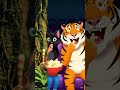 Cat and Tiger funny prank vedio