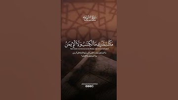 وَكَذَلِكَ أَوحَيْنَا إلَيْكَ رُوحًا مِن أَمْرِنَا || طارق محمد || من سورة الشُّورَى