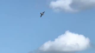 HSD F-86 flown at the #BeaumontRadioControlClub by Pilot Josh Ladd