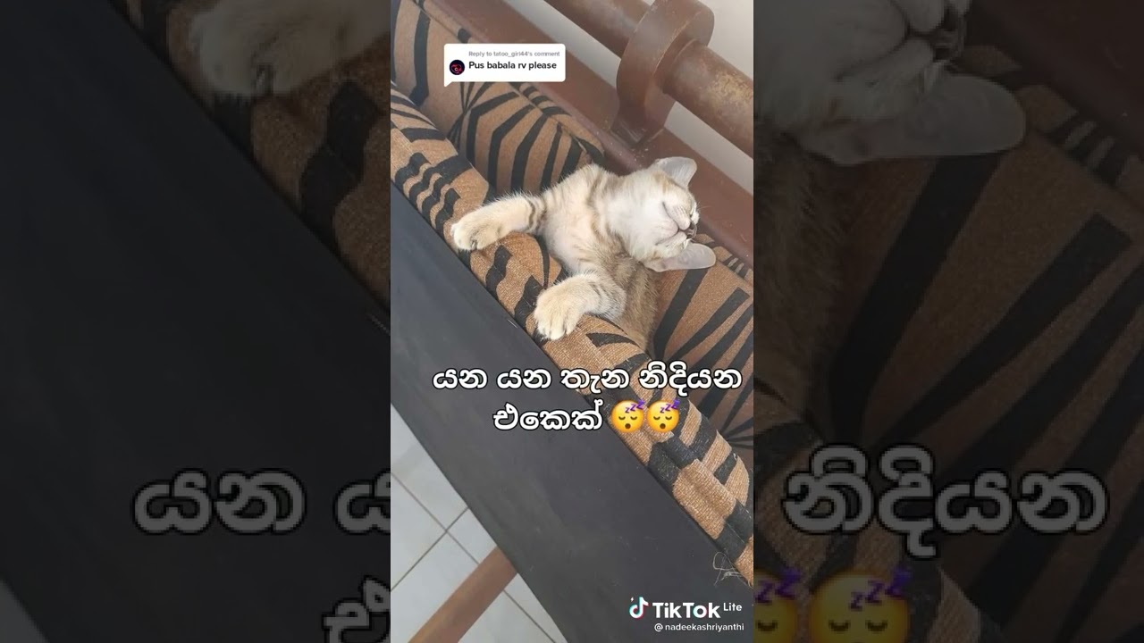 hora kalliya ne aluth kamaravan😆😆😆😆