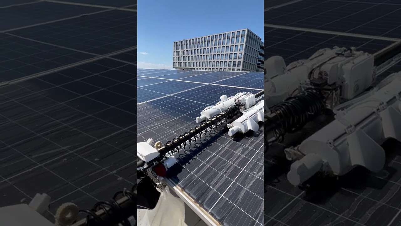 Comparison before and after cleaning by Noon Sunshine