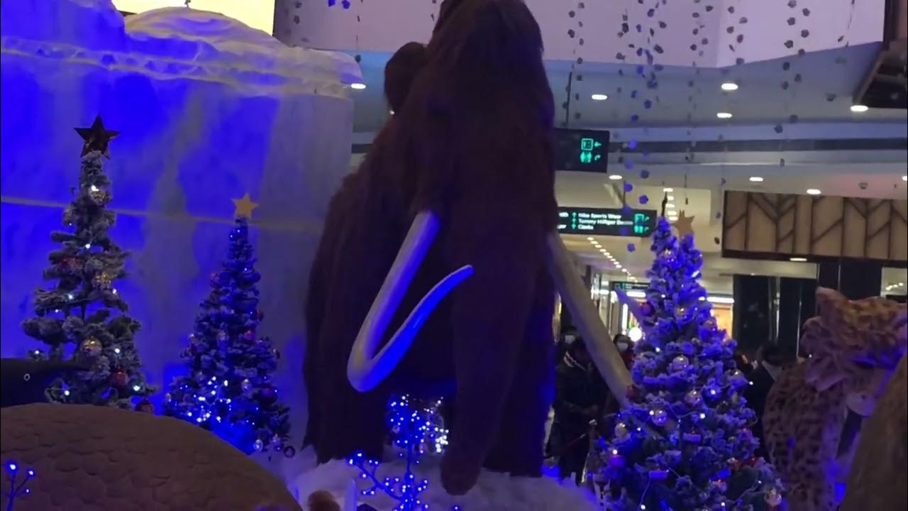Elante Mall 🎅christmas daycaara waale YouTube