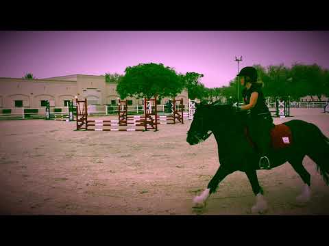 Dubai Polo & Equestrian Club Showjumping