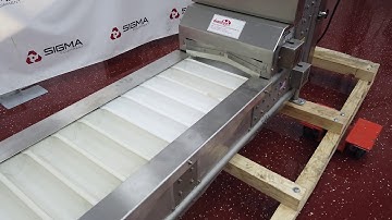 Deamco BES-18P-T-X-SST Bucket Conveyor 17" W SIGMA Equipment