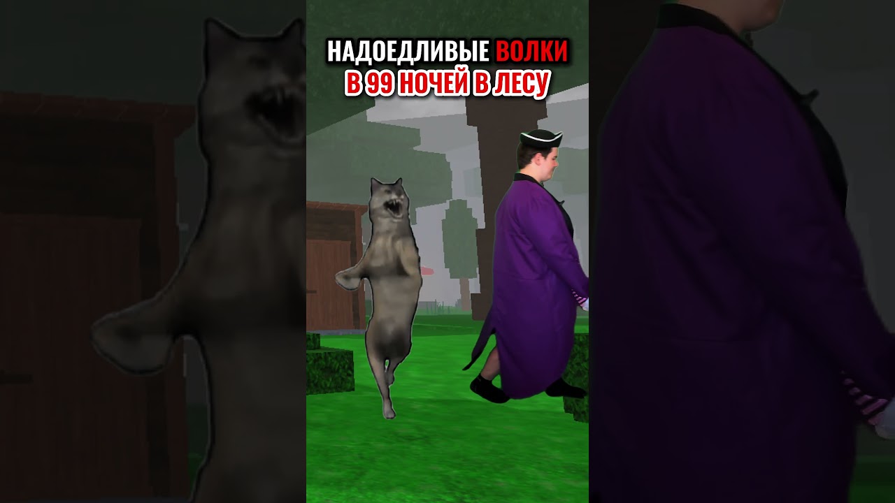 🐺 НАДОЕДЛИВЫЕ ВОЛКИ В 99 НОЧЕЙ В ЛЕСУ! 