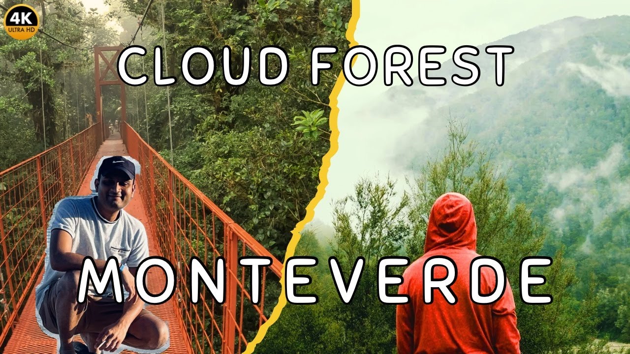 The Ultimate Monteverde Rainforest Adventure Experience! 