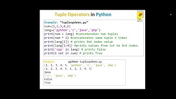 Python Programming  Tuple