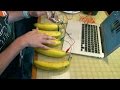 Enjoy the dulcet tones of the banana piano  street science