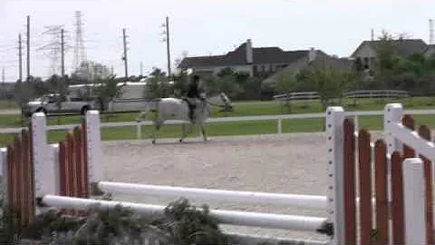 Video of ZARREAUX ridden by DEBRA GAFFEY from Show...