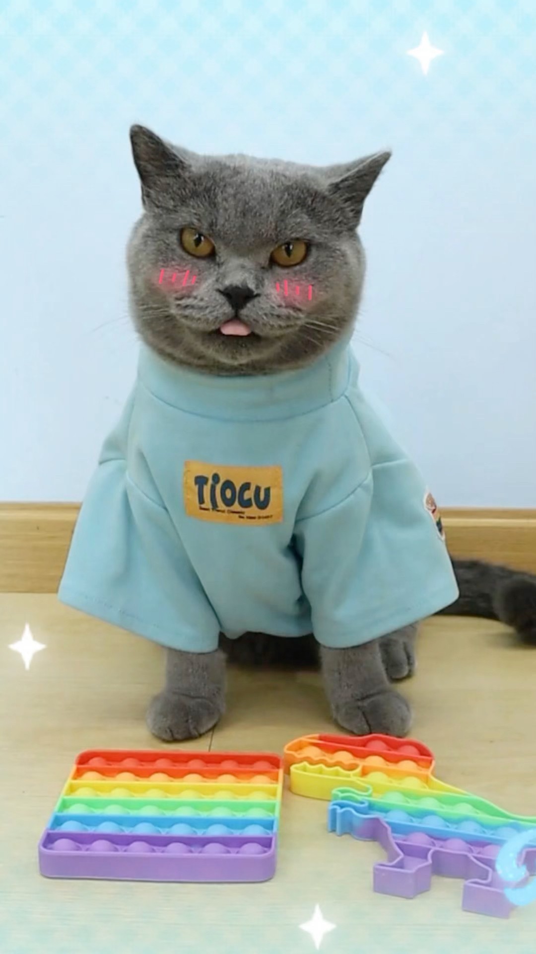 Wait!✋ Help Pregnant Women Clean Their Feet Easily??#catvideo #catmemes #trending