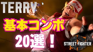 テリーの基本コンボ20選｜小技始動からパニッシュカウンター・画面端・SA 締めまでダメージつきで全レシピ