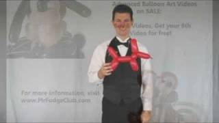 Balloon Library #48 Simple Balloon Animal Dog Instructions
