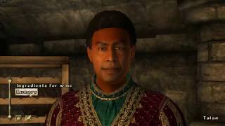 Voice acting mistakes  - Oblivion screenshot 3