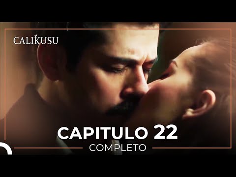 Calikusu 22 Capítulo