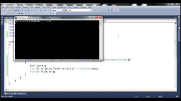 WCF service implementing multiple service contracts