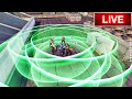 EMT ONLY CUSTOM ROOMS | BLOOD STRIKE LIVE