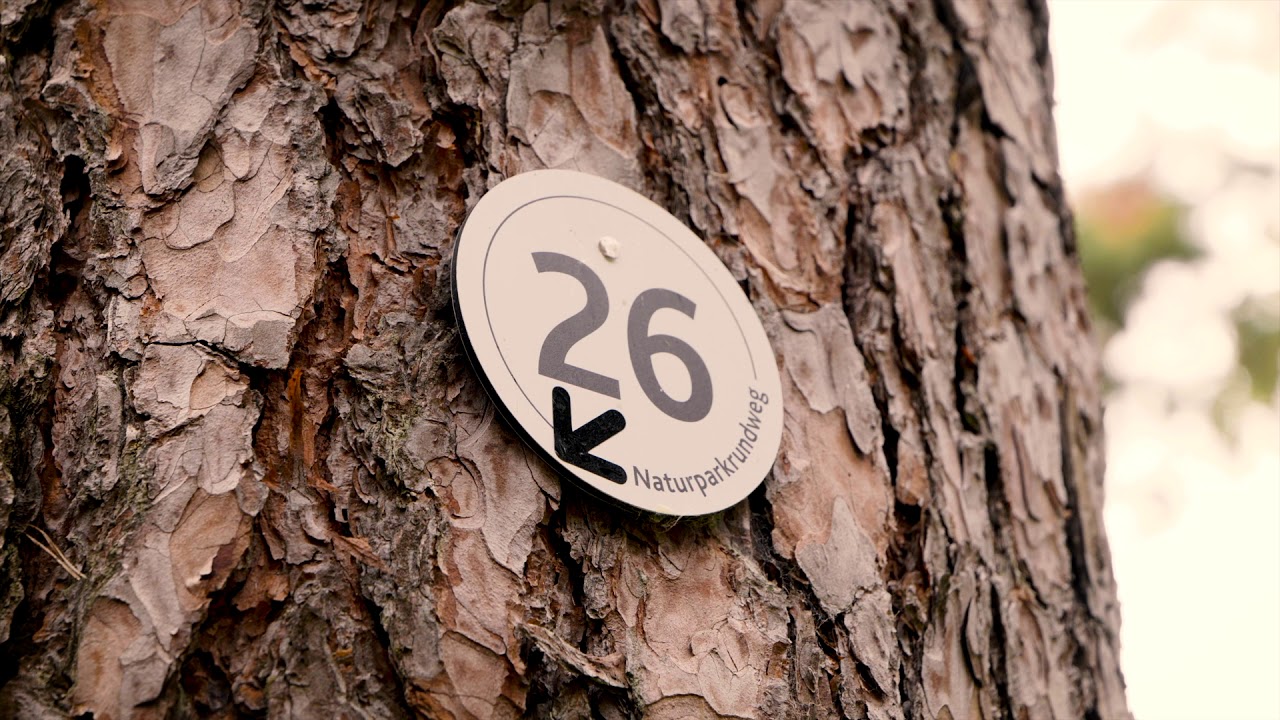 Imagefilm Trifelsland