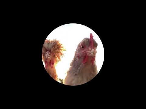 Verwandtschaftstreffen (Festival Remix) (unofficial)