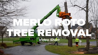 Merlo Roto Tree Removal Short