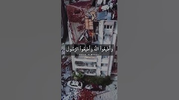 مـآ أصاب من مصيبةٍ .. سورة التغابن| بصوت عبيد المقاطي