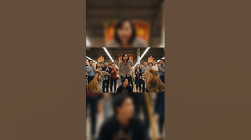 tạo video bằng công nghệ AI VEO 3 | Bà cô và biệt đội siêu thú bắt cướp|