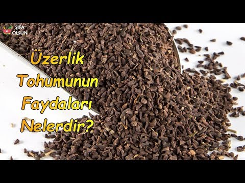 Üzerlik Tohumunun Faydaları Nelerdir?