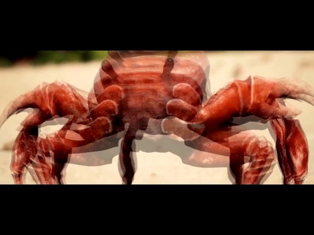 Crab Rave Earrape Youtube