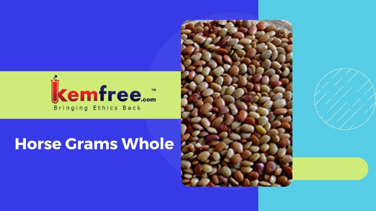 Buy/Sell Organic Horse Grams Whole at our Global Organic Market place