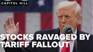 Stocks ravaged by tariff fallout as global supply chains brace for impact