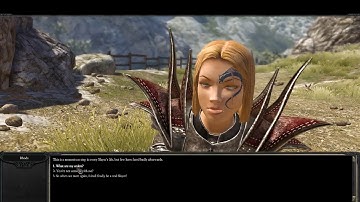 Divinity Sin 2: Developer