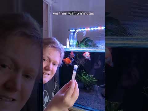 Ammonia test using