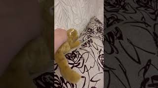 Ссылка на курсы в описании видео👇 А промокод STEPIKEDU дает скидку 15% на любой курс Stepik!