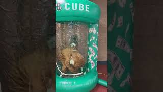 Wiley in the Cash Cube