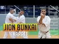 Jion bunkai  karate avec lionel froidure