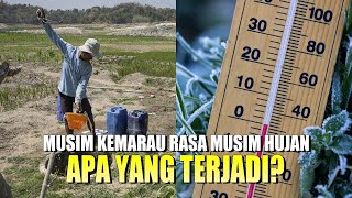 Download Lagu Kenapa indonesia masih sering hujan \u0026 dingin padahal lagi musim kemarau? MP3 Download Lagu Kenapa indonesia masih sering hujan \u0026 dingin padahal lagi musim kemarau? MP3