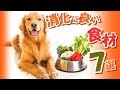 【要チェック】愛犬も絶対喜ぶ手作りご飯おすすめ食材って何が有る？！