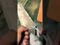 EVERYDAY USE KNOT #shortvideo #knot #rope #knots