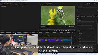 The process of me producing videos on the RainBird Melody channel.